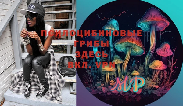 2c-b Пестово