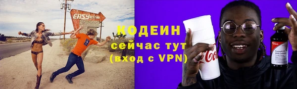 2c-b Пестово