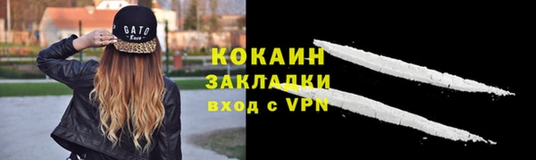 2c-b Пестово