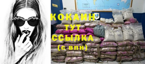 гашик Переславль-Залесский