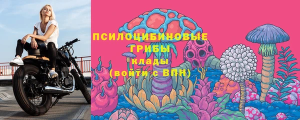 гашик Переславль-Залесский